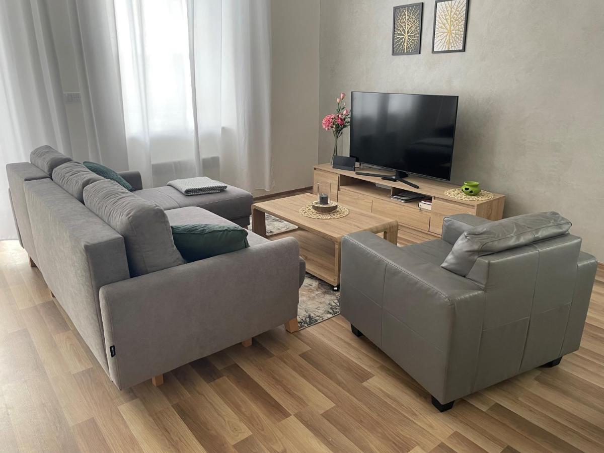 Apartman Studnice Na Vysocine ノヴェー・ムニェスト・ナ・モラヴィエ エクステリア 写真