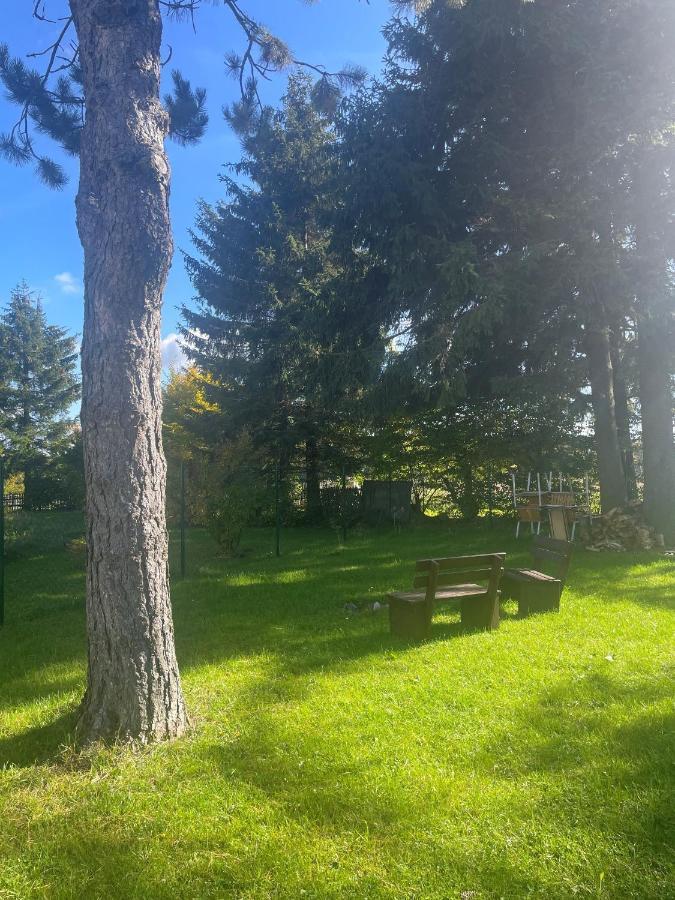 Apartman Studnice Na Vysocine ノヴェー・ムニェスト・ナ・モラヴィエ エクステリア 写真