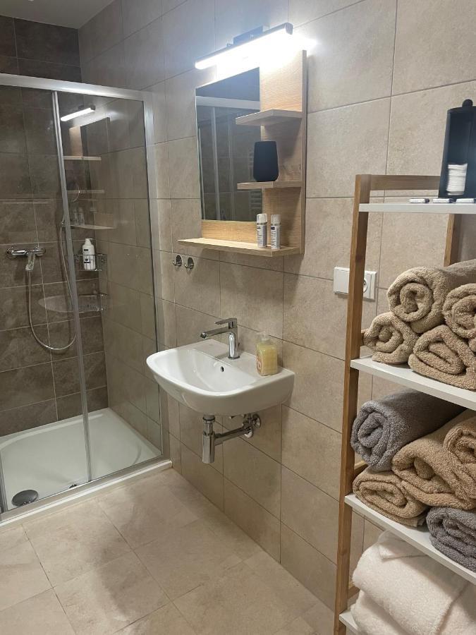 Apartman Studnice Na Vysocine ノヴェー・ムニェスト・ナ・モラヴィエ エクステリア 写真